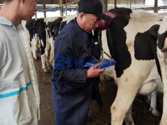 技术老师到宁夏奶牛场做技术培训——牛用B超机使用方法