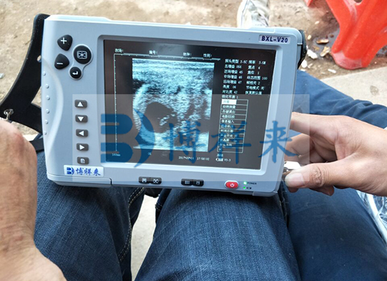 牛用B超BXL-V20