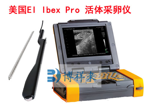 进口牛用B超ibex pro