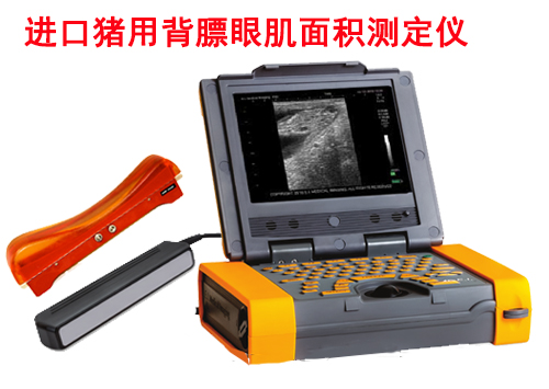进口牛用B超ibex pro