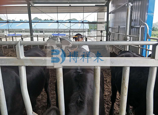 中禾恒瑞进口牛用B超培训现场