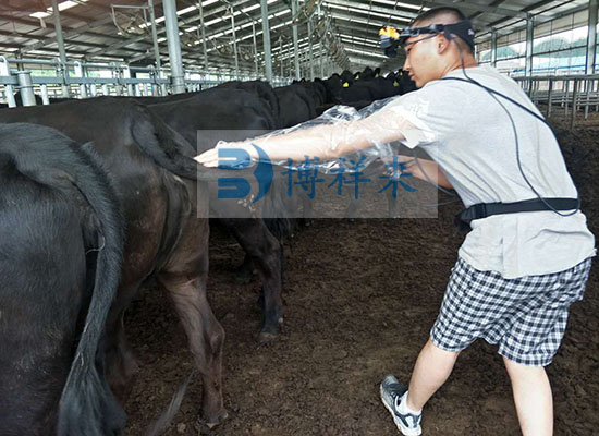 中禾恒瑞进口牛用B超培训现场