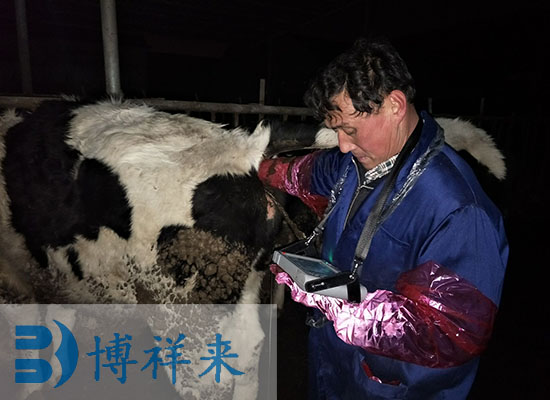 太原众和养殖场牛用B超培训现场