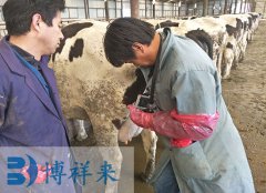 唐山迁安牛用B超仪培训现场