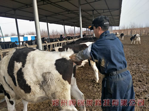 高清进口牛用b超