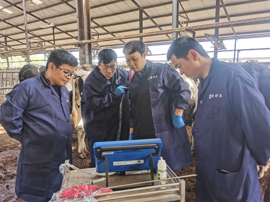 牛用活体采卵B超仪的应用与价值