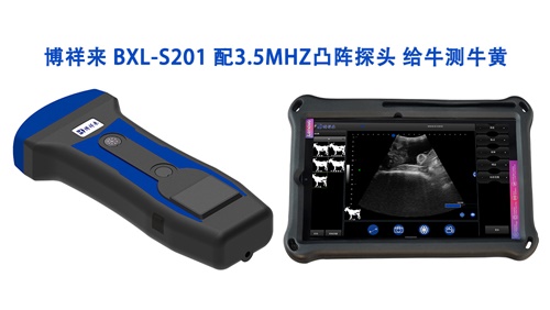 S201-1.jpg