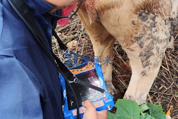 22.08.24云南昆明v50 图片 (2).png