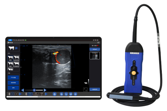 无线多普勒彩色牛马B超仪BXL-S300 21天测孕