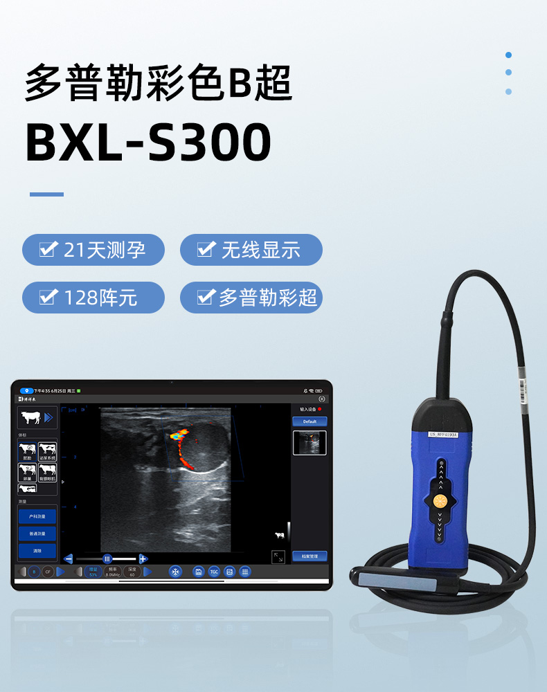 BXL-S300详情图_01.jpg