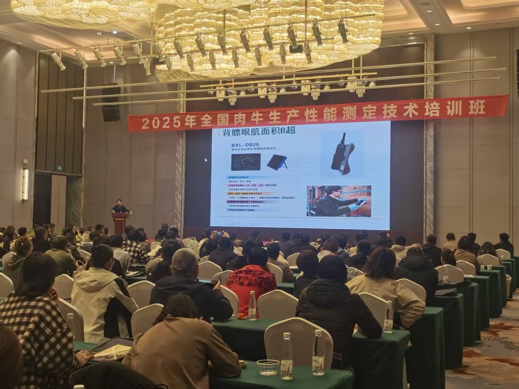 牛用B超技术老师在全国肉牛性能技术培训班培训