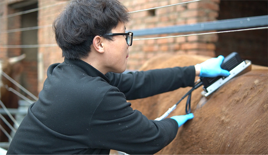 BXL-DB20 牛场测背膘眼肌 1 - 小.jpg