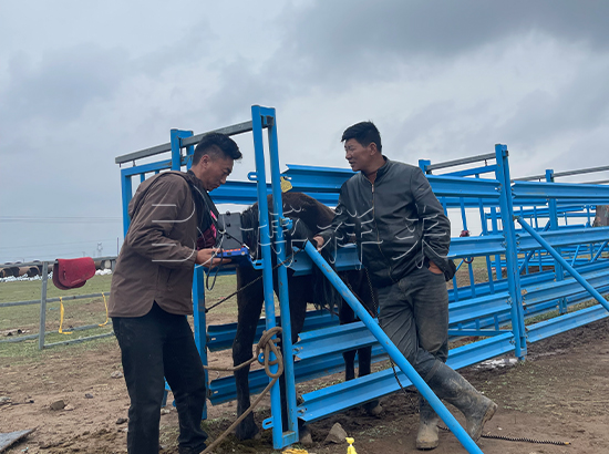 2025.06 v50测马 (2).JPG